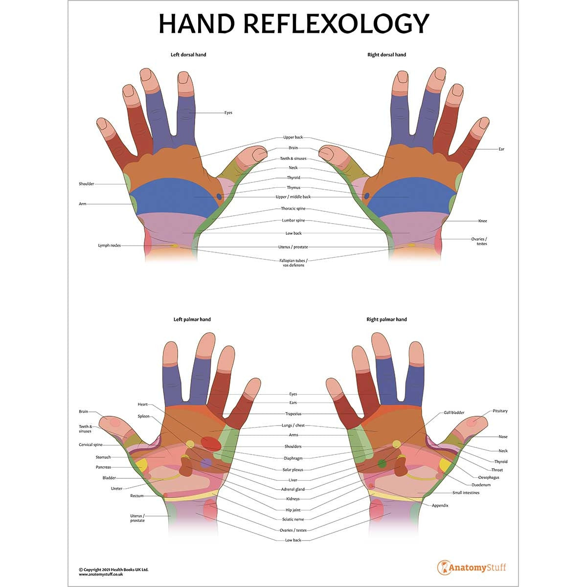 Reflexology 2 Poster Collection (Laminated)