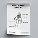 Switch Hand &amp; Wrist Anatomy Poster PDF 2 image