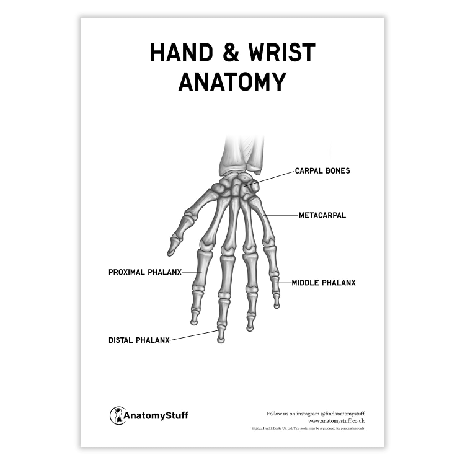 Hand & Wrist Anatomy Poster PDF | Digital Download – AnatomyStuff
