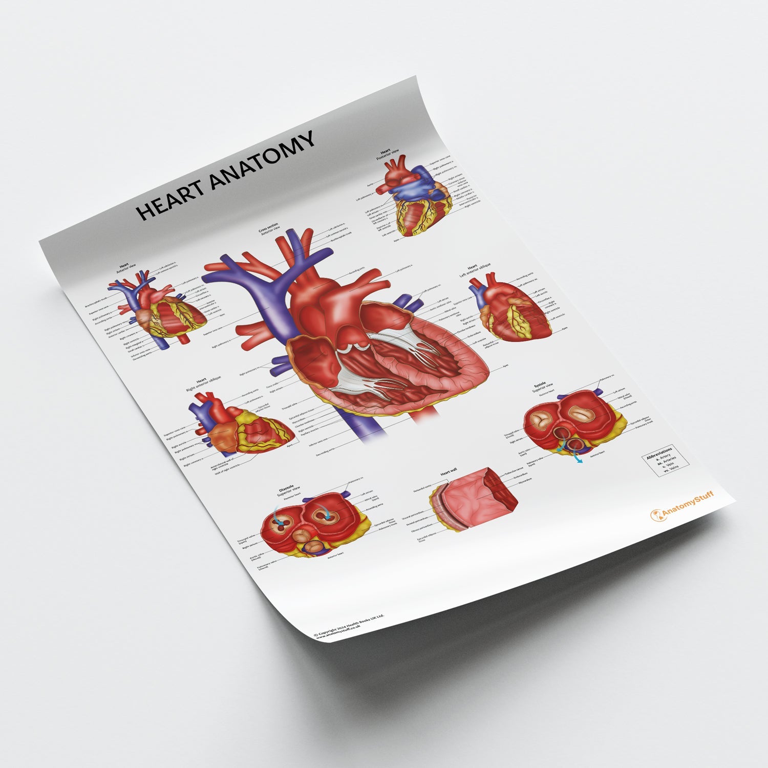 Heart Anatomy Chart | Cardiac Poster | Anatomical Heart Wallchart ...