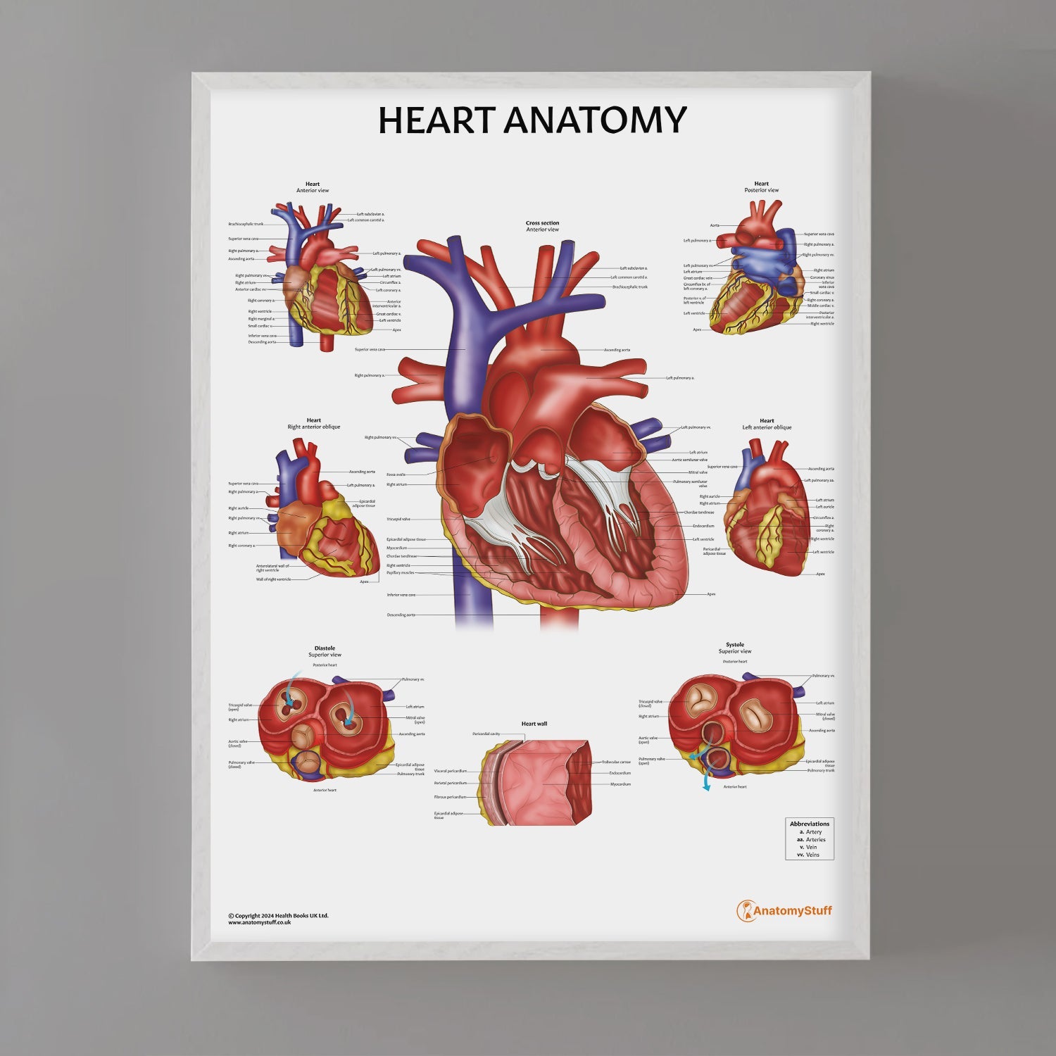 Heart Anatomy Chart | Cardiac Poster | Anatomical Heart Wallchart ...