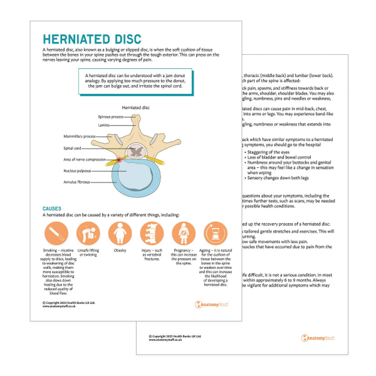Herniated Disc Patient Education Handout