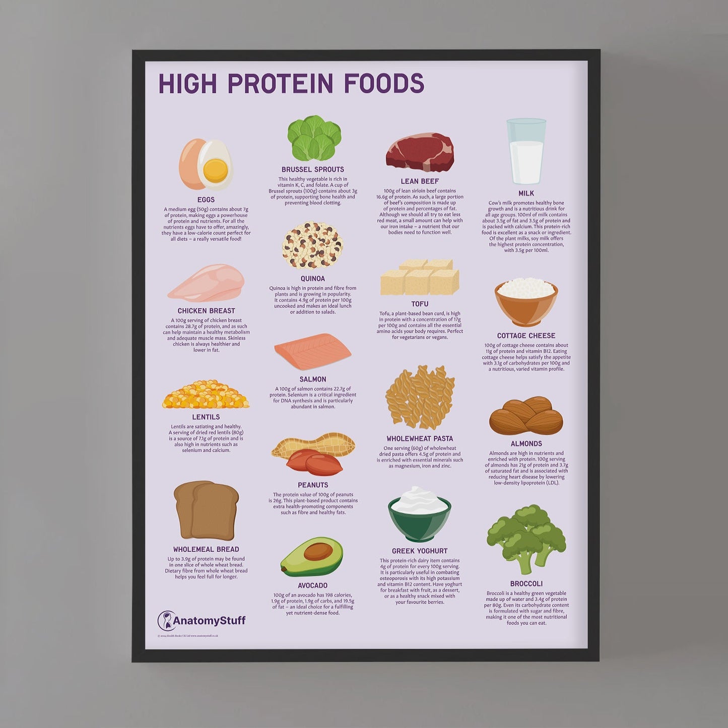 High Protein Foods Chart / Poster - Part of Collection