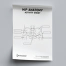 Switch Hip Anatomy Activity Sheet PDF 2 image