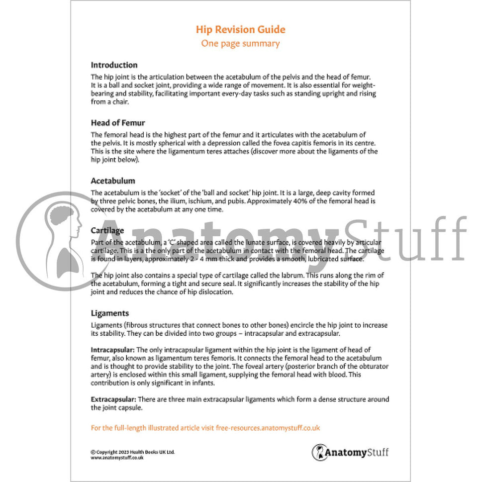 Hip Revision Guide (One Page Summary)
