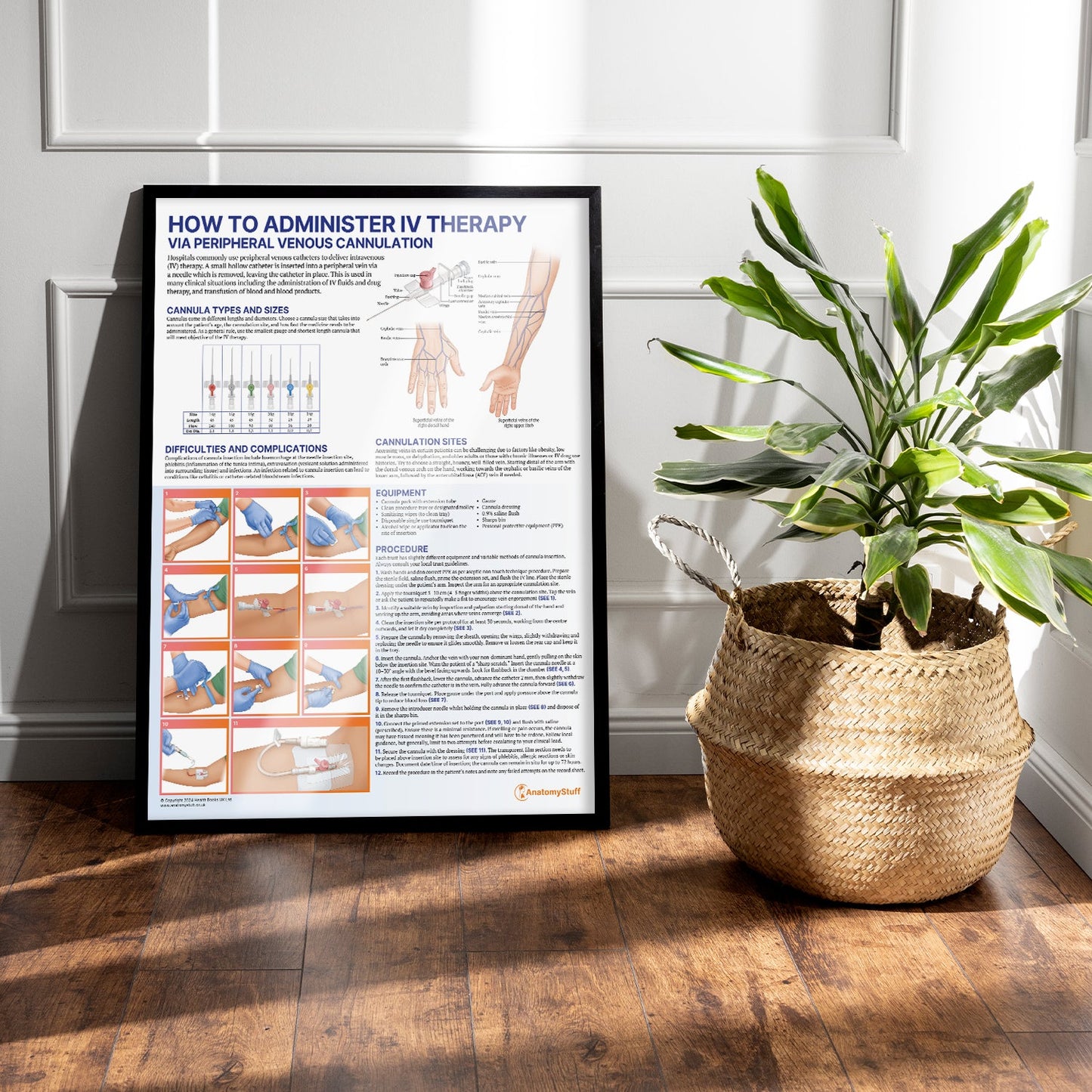 IV Therapy Chart / Poster - Part of Collection