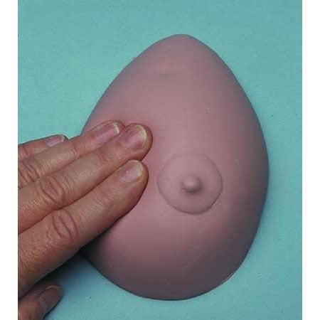 Breast awareness model for teaching of BSE