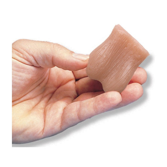 Mini Testicle Model (Pack of 10)