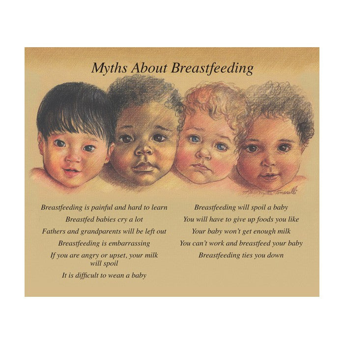 Breastfeeding Chart Spiralbound Collection (English/Spanish)