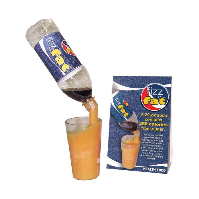 Fizz to Fat Display 78965 | AnatomyStuff.co.uk | Health Edco