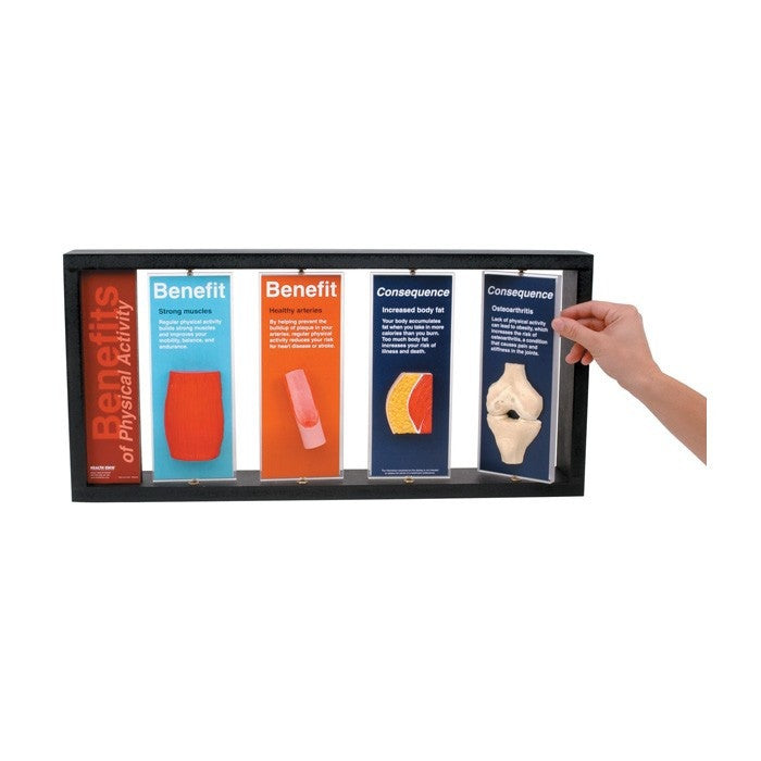 Benefits Of Physical Activity 3D Display