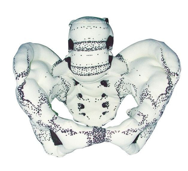 Cloth Pelvic Model