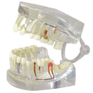 Switch Jaw is hinged to enable full inspection of the model 2 image