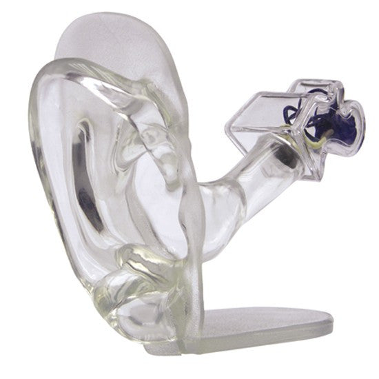 Transparent Ear Model