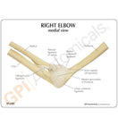 Switch A patient education card accompanies the model to help with identification of key parts 3 image