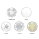 Switch A patient education card accompanies the model to help with identification of the different lenses 3 image