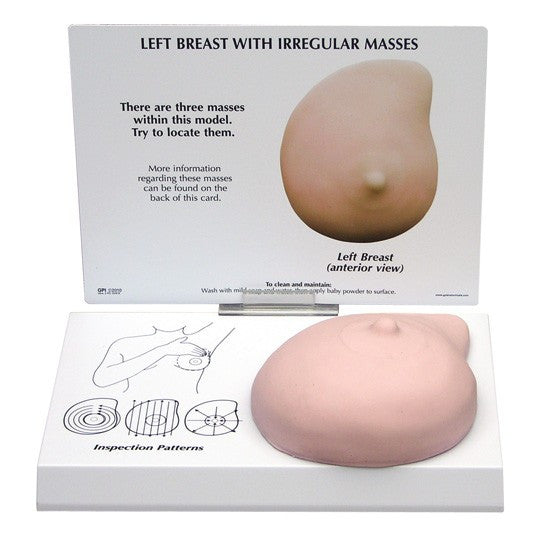 Breast Cancer Anatomical Model