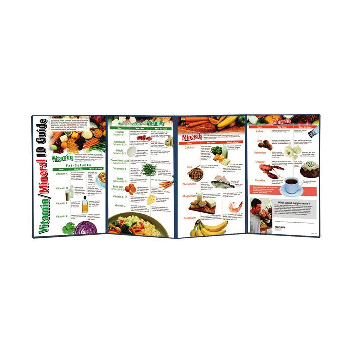 Vitamin / Mineral ID Guide Folding Display