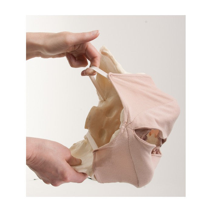 Childbirth Model Set : Pelvis, Foetal doll, Perineum, and Placenta
