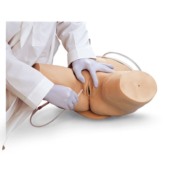 Female Catheterisation Simulator