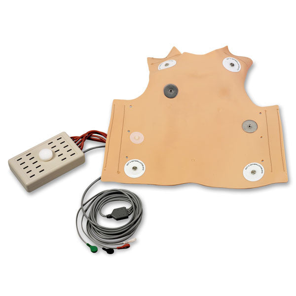 Defibrillation Chest Skin (Child)