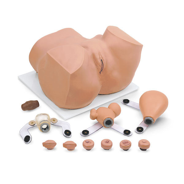 EVA Gynaecological Training Manikin