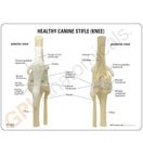 Switch Two-sided information card highlights anatomical differences between healthy &amp; osteoarthritic knees 2 image