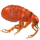 Switch Accurate flea parasite model is perfect for educating on common canine parasites 3 image