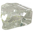 Switch Transparent Feline Jaw Model 2 image