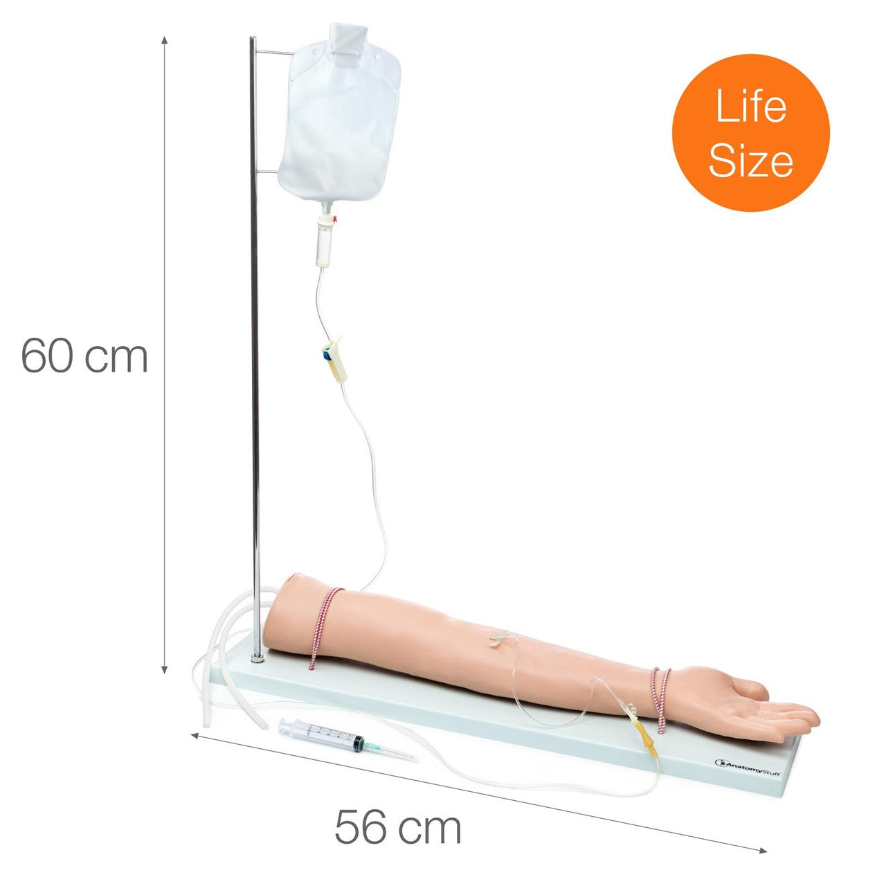 Budget Injectable Training Arm Set