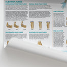 Switch Injuries &amp; Conditions of the Elbow Chart / Poster 2 image