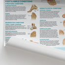 Switch Injuries &amp; Conditions of the Foot &amp; Ankle Chart / Poster 2 image