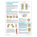 Switch Peripheral Joint 6 Chart Collection 3 image