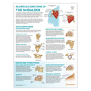 Switch Shoulder Anatomy &amp; Pathology Collection 3 image