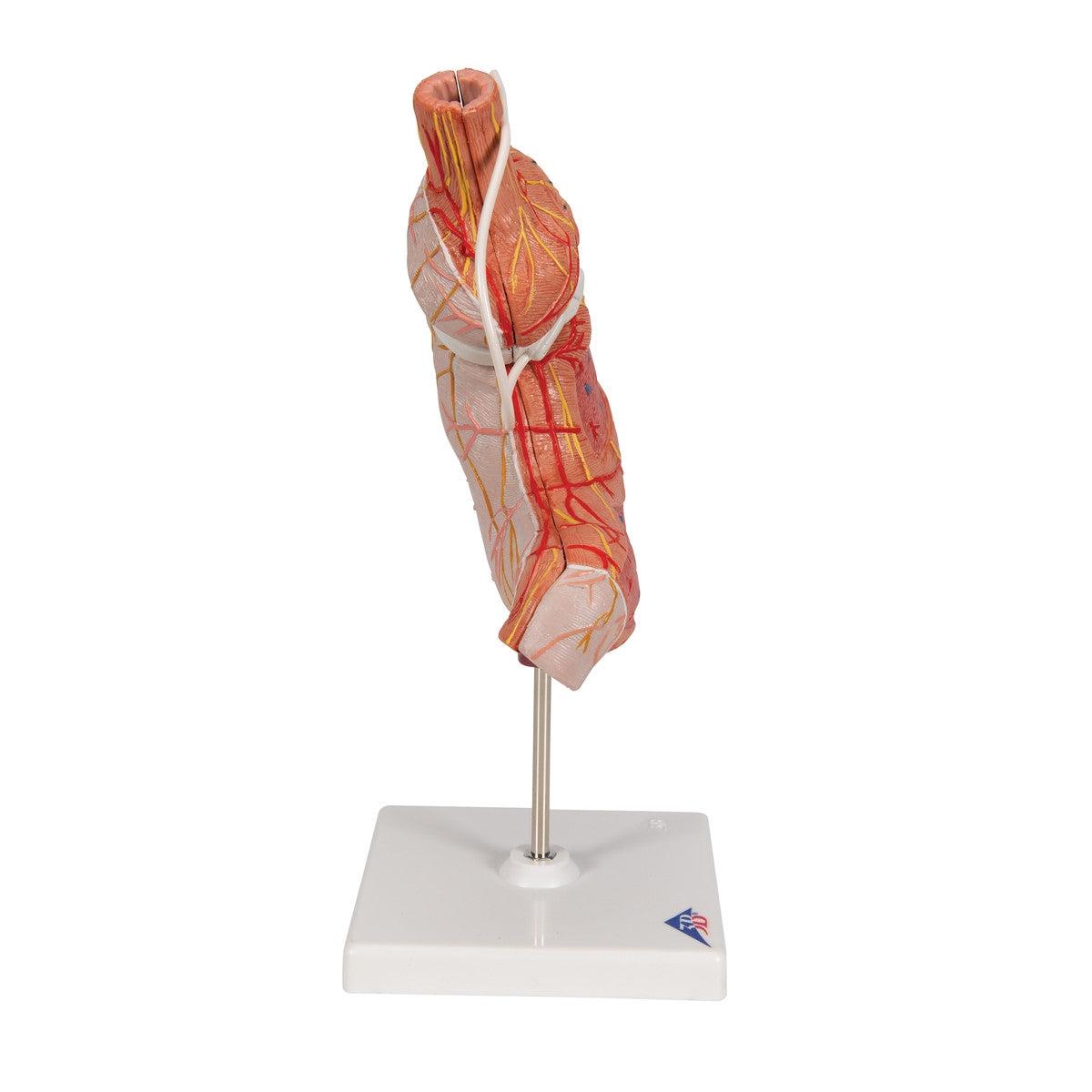 Image 3