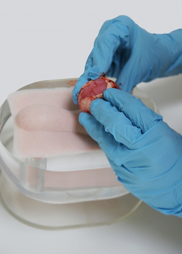 K-9 Canine Orchiectomy (Neuter) Model