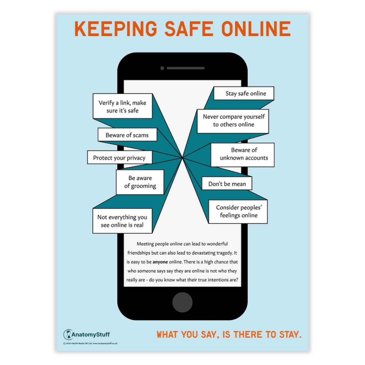 Keeping Safe Online Poster | PSHE School Education Chart – AnatomyStuff