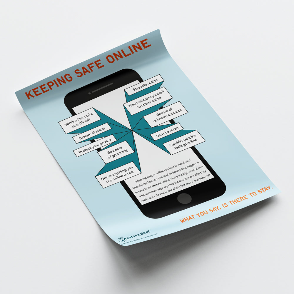 Keeping Safe Online Chart / Poster - Part of Collection