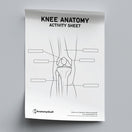 Switch Knee Anatomy Activity Sheet PDF 2 image