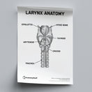 Switch Larynx Anatomy Poster PDF 2 image
