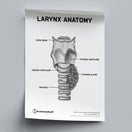 Switch Throat Anatomy Poster PDF 2 image