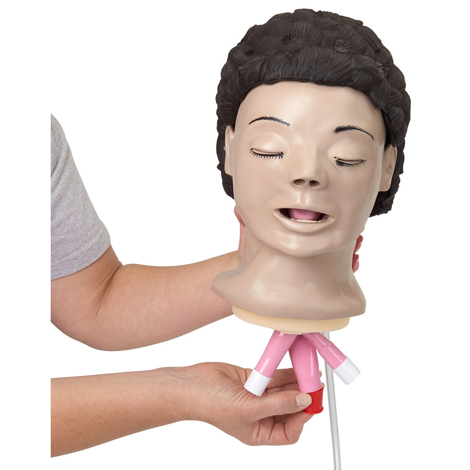 Adult Airway Management Training Torso