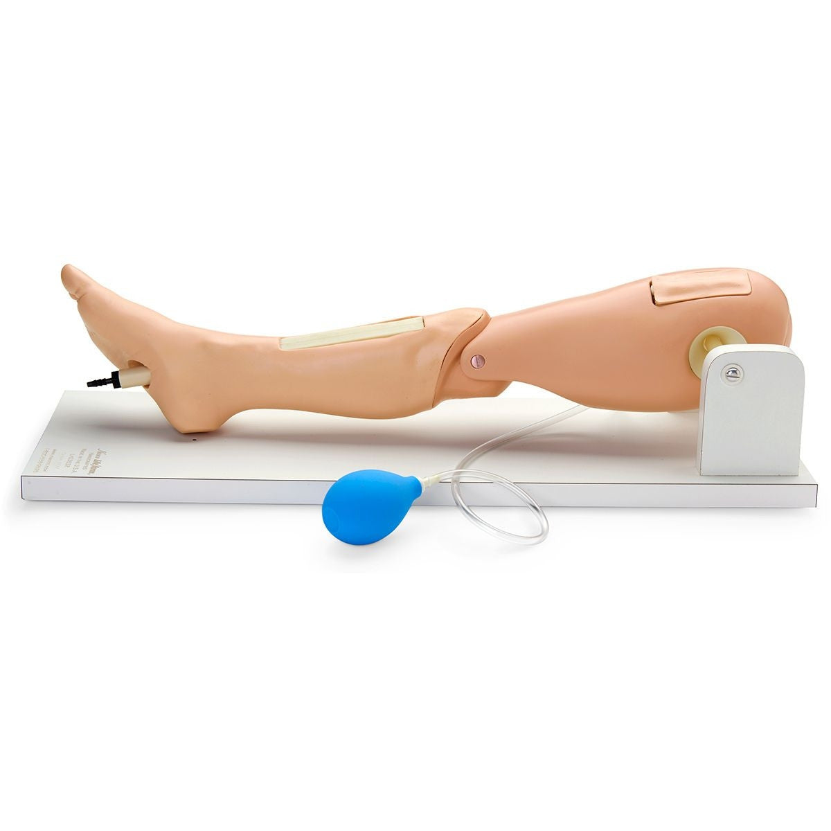Child Intraosseous Infusion/Femoral Access Training Leg on Stand