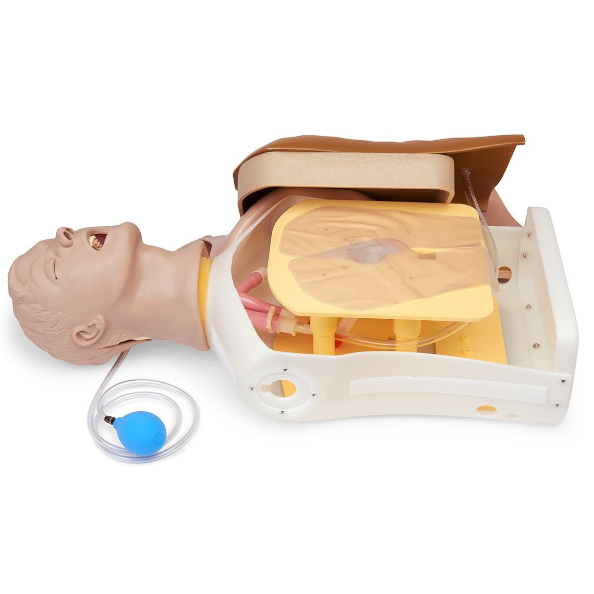 Advanced Airway Larry Training Torso