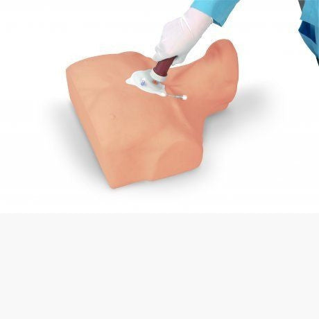 Adult Sternal Intraosseous Infusion Trainer