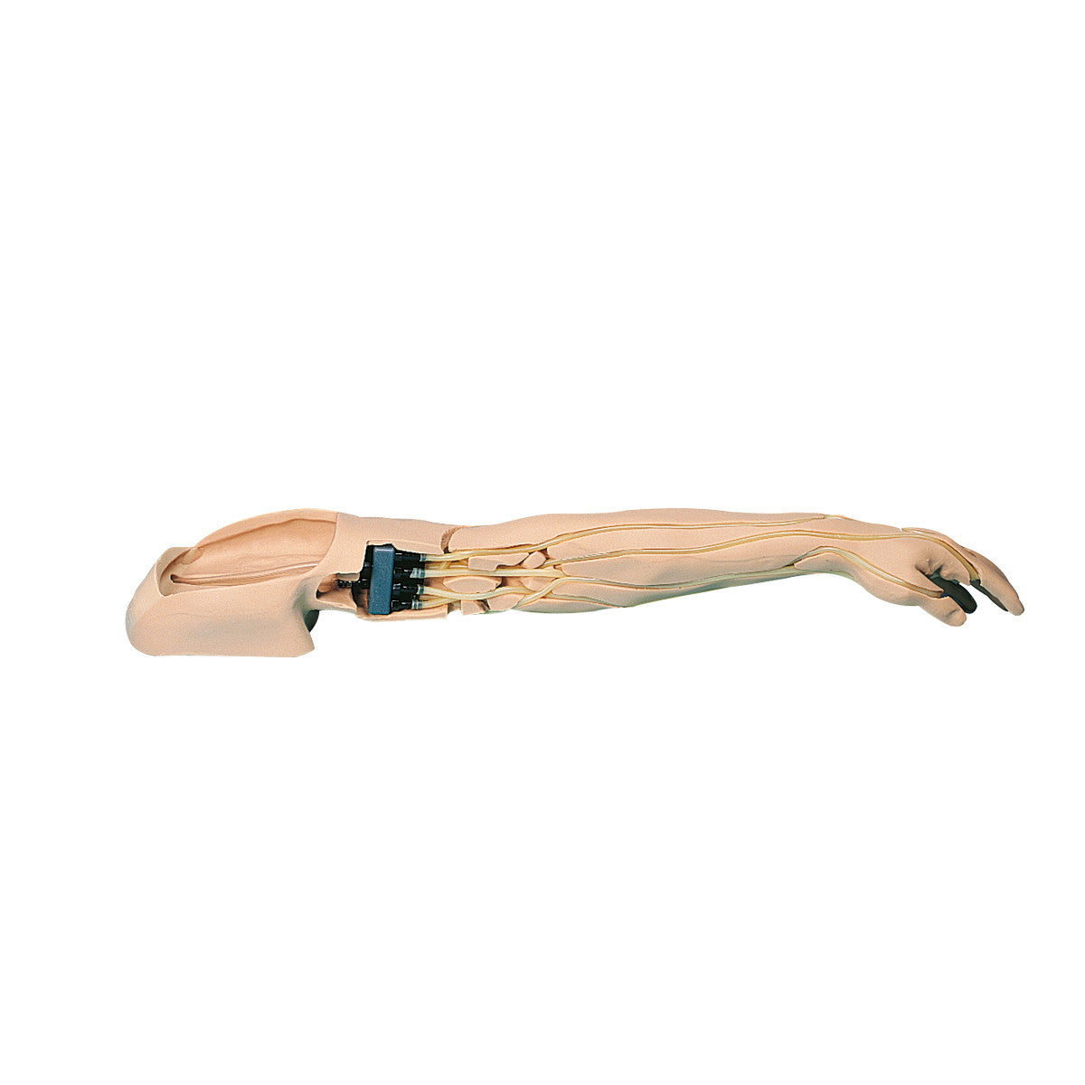 Advanced Venipuncture and Injection Arm (White)