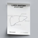 Switch Liver Anatomy Activity Sheet PDF 2 image
