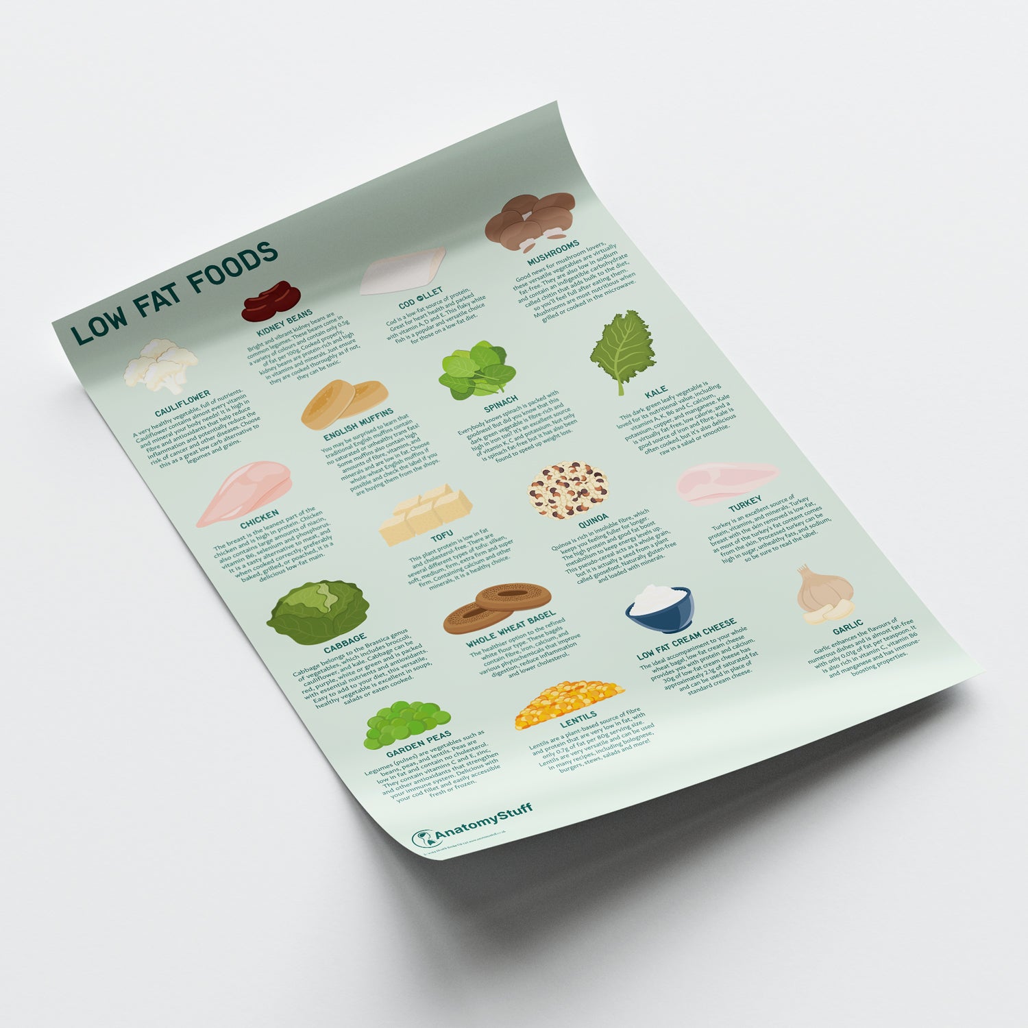 Low Fat Foods Poster | Healthy Low Fat Foods | AnatomyStuff