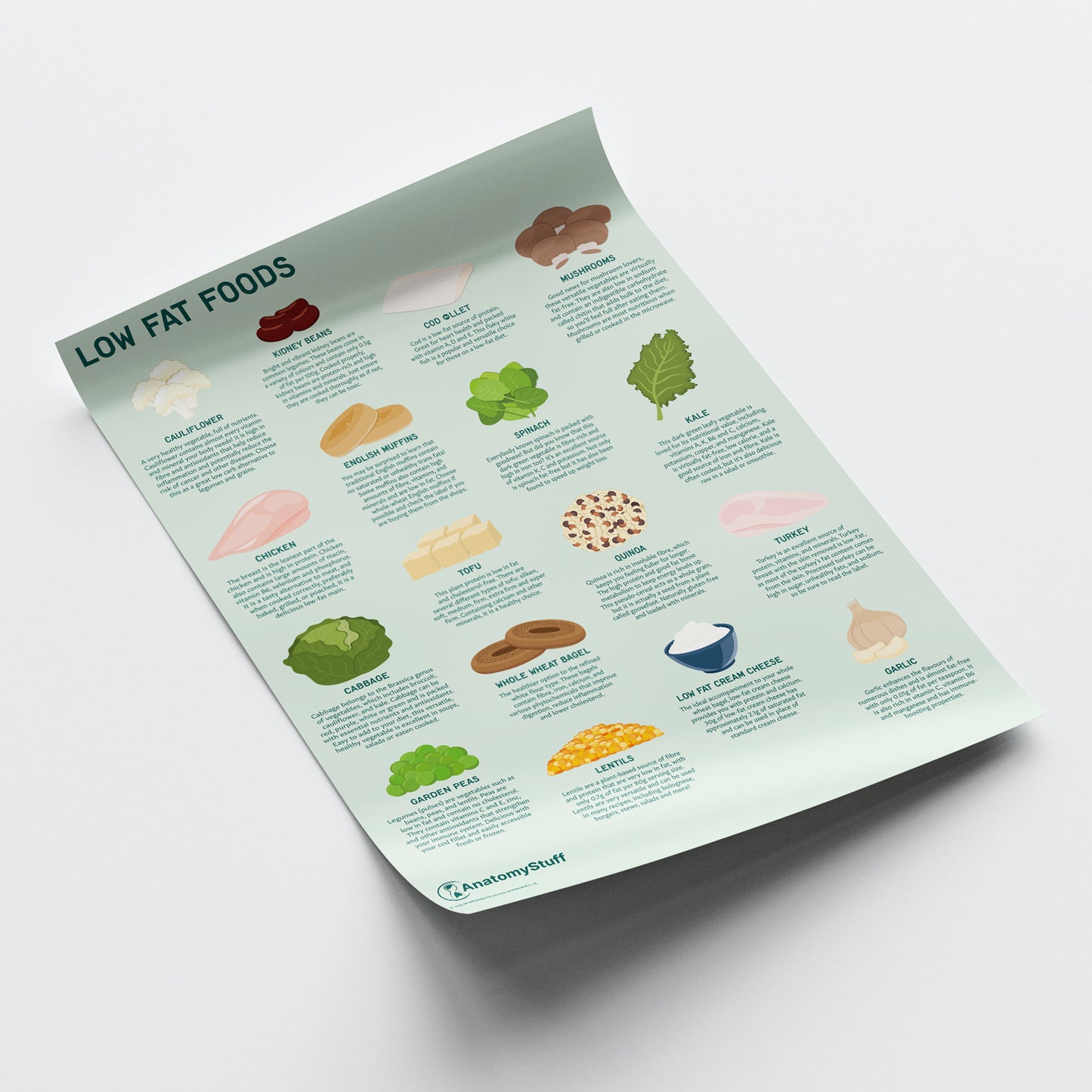 Low Fat Foods Chart / Poster