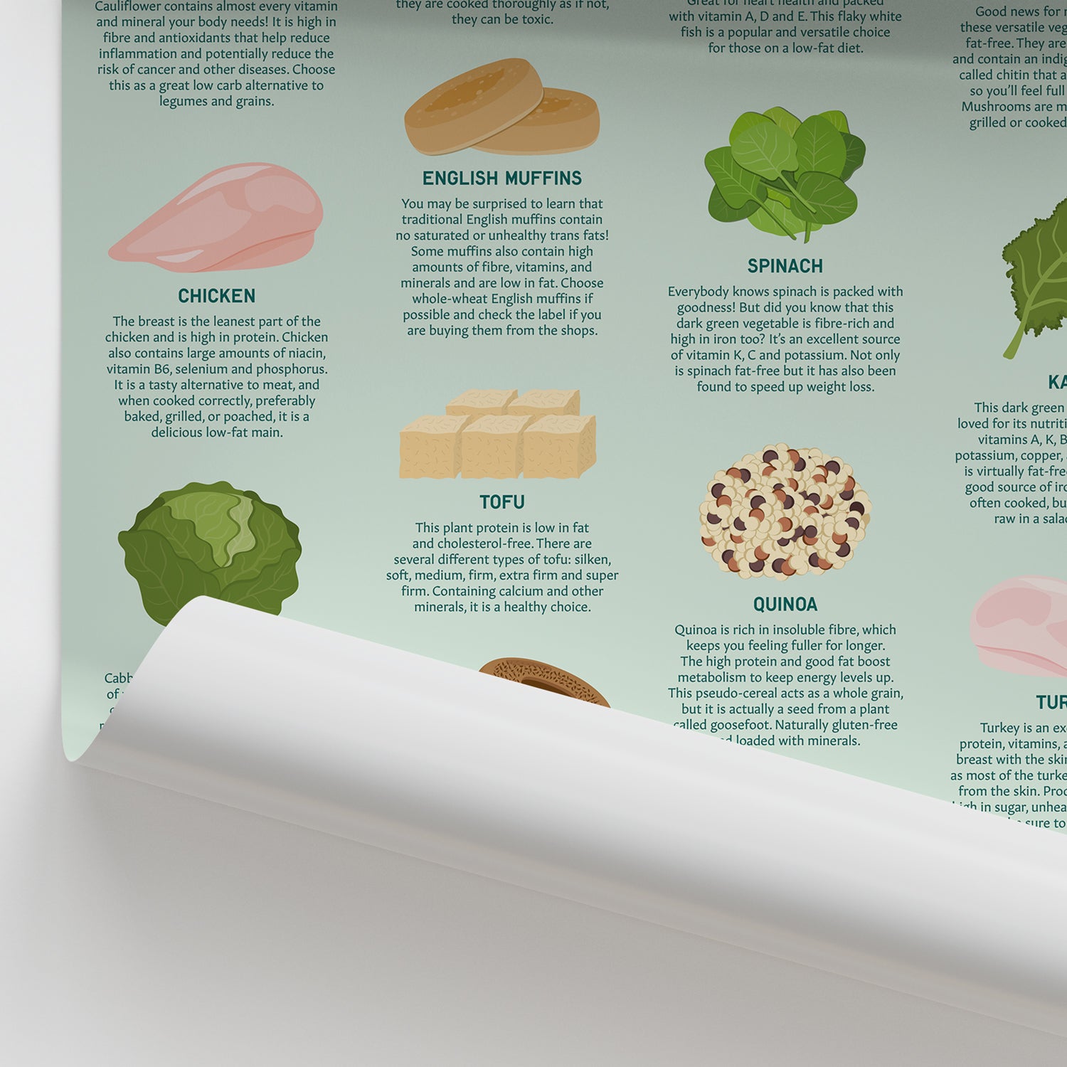 Low Fat Foods Chart / Poster